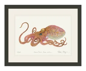 California Two Spot Octopus Print - Best Seller