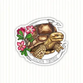 Sulcata Tortoise Banner Sticker